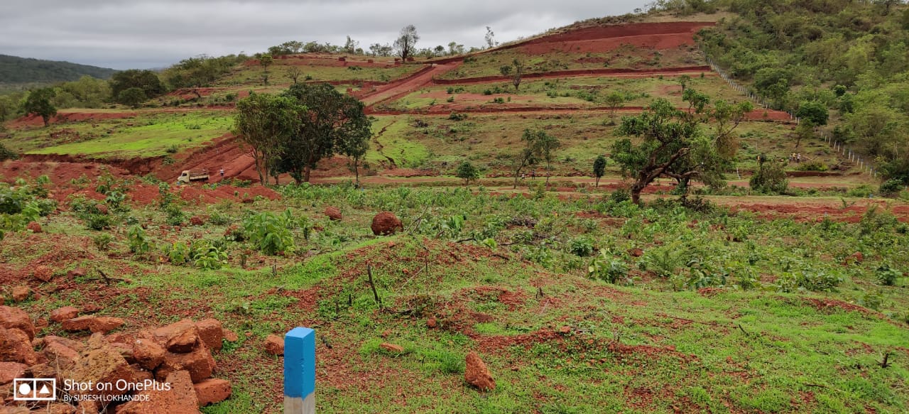 Home well desined plots